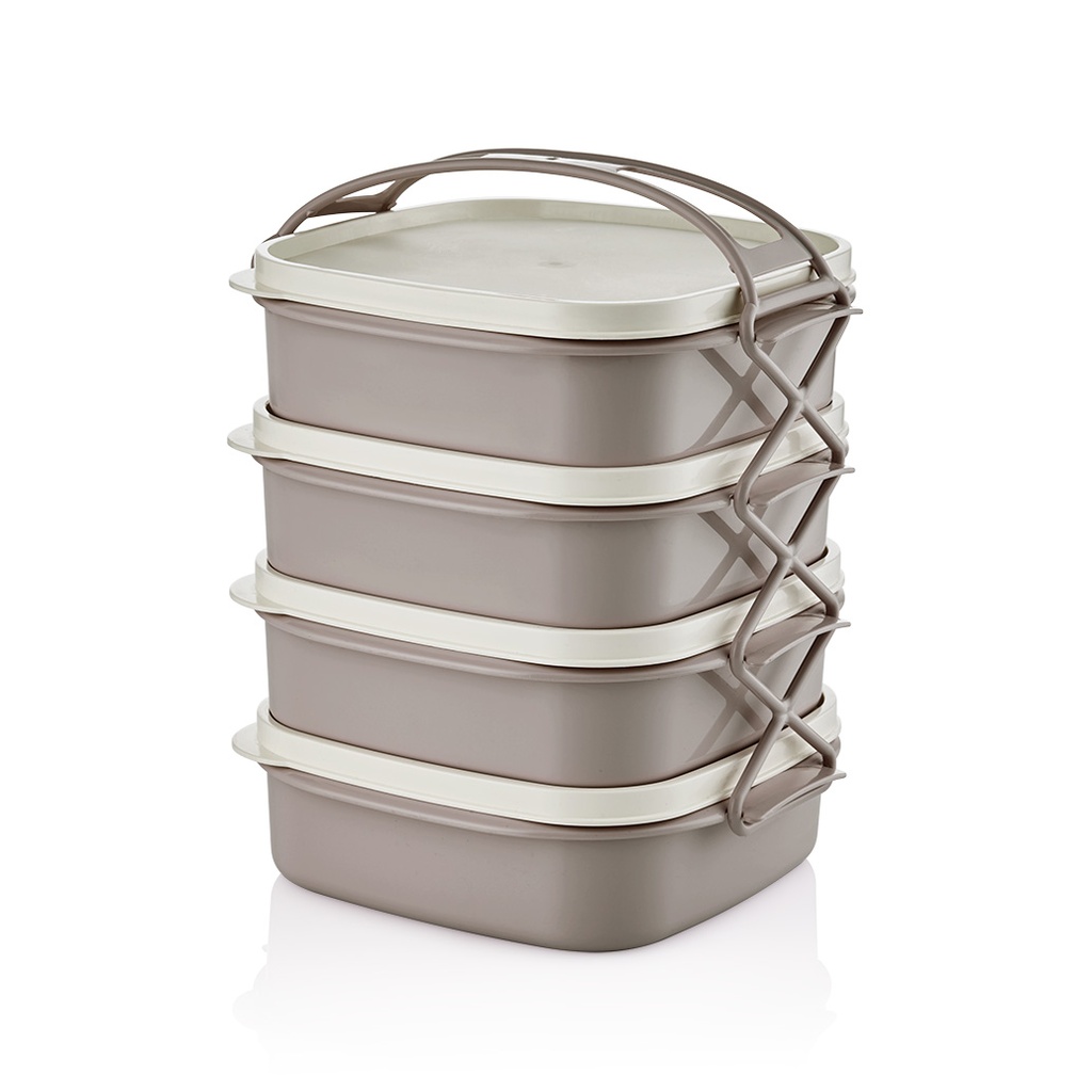 تيترا لونش بوكس (4 حبة) - بيج